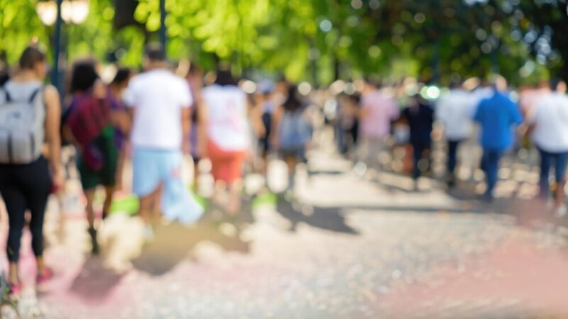 Pies na spacerze po Gołkowicach: Policja przypomina o obowiązkach właścicieli czworonogów