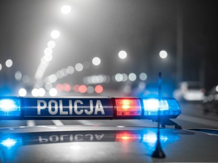 Zatrzymanie poszukiwanego za przestępstwo seksualne w parku w Wodzisławiu Śląskim