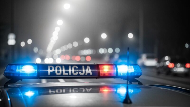 Zatrzymanie poszukiwanego za przestępstwo seksualne w parku w Wodzisławiu Śląskim