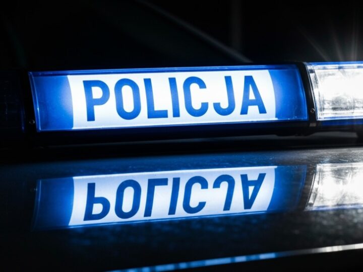 Uważaj na leśną zwierzynę: Kierowcy, jedźcie ostrożnie!