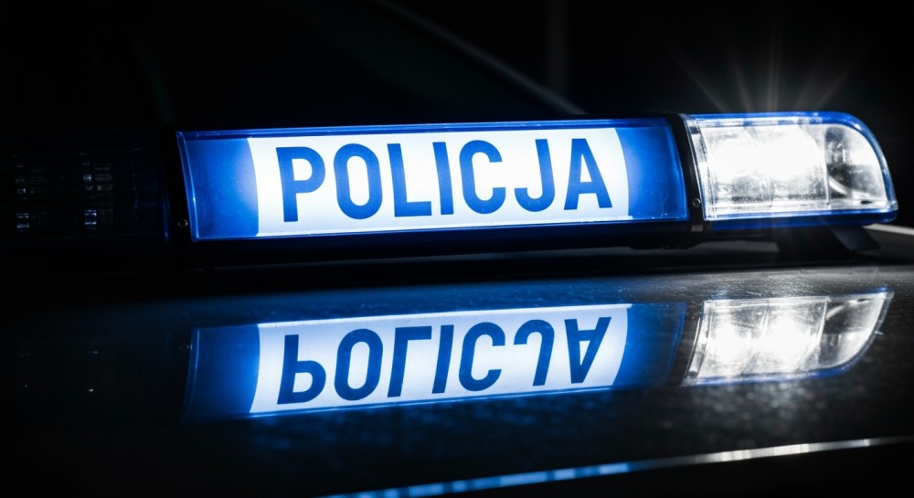 Uważaj na leśną zwierzynę: Kierowcy, jedźcie ostrożnie!