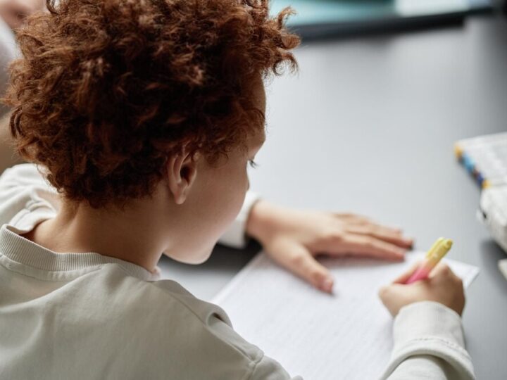 Edukacyjne przygody w Pałacu Dietrichsteinów: Muzealne lekcje dla każdego!