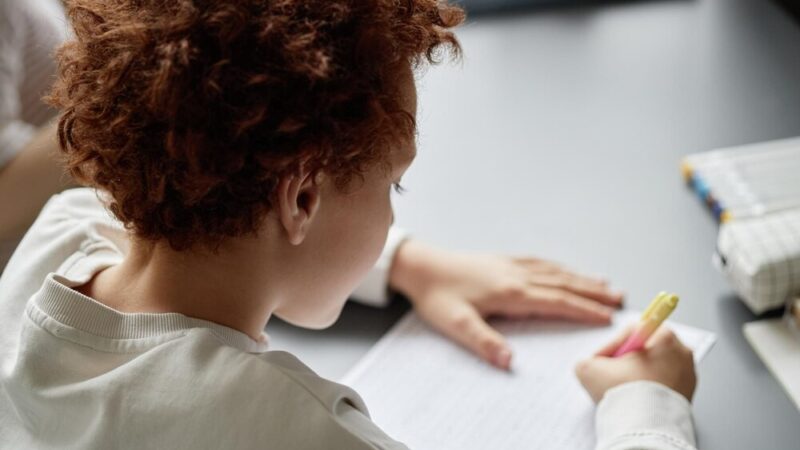 Edukacyjne przygody w Pałacu Dietrichsteinów: Muzealne lekcje dla każdego!