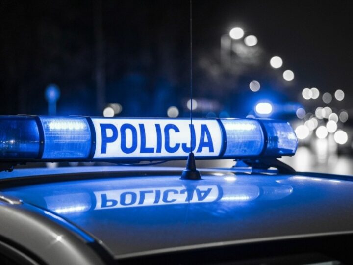 Pijany kierowca i poszukiwany przestępca zatrzymani przez policję