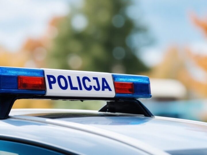 Wodzisławscy policjanci dbają o bezpieczeństwo w Warszawie podczas Święta Niepodległości