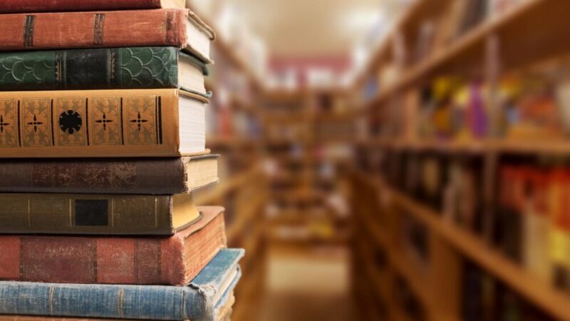 Kamila Mytyk w bibliotece: harcerskie przygody i tajemnice dla młodych czytelników