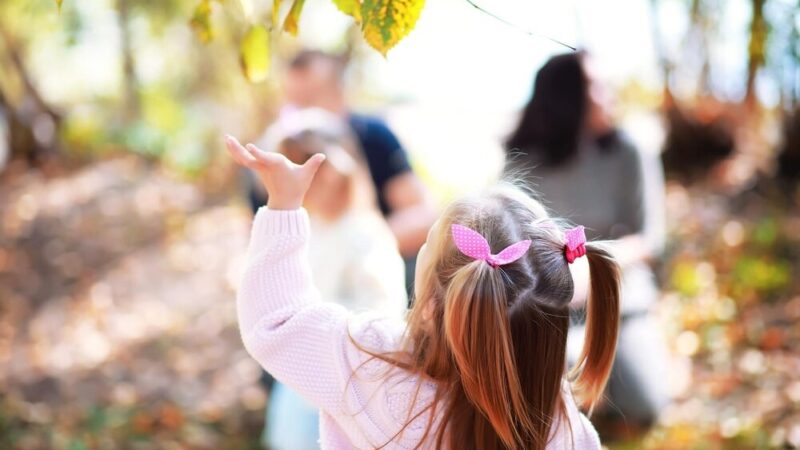 Nowe zniżki dla rodzin w programie Rodzina 3+