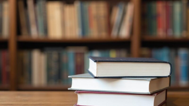 Kobiety w literaturze: Maria Janion o sile inności