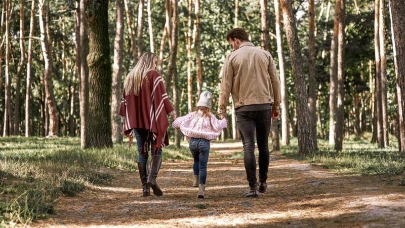 Wsparcie, które zmienia życie rodzin zastępczych w Wodzisławiu