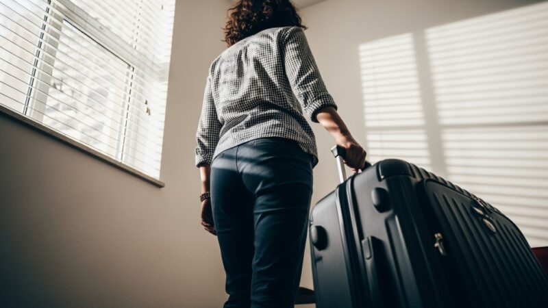 Indie: Przygoda w Krainie Kontrastów i Magii