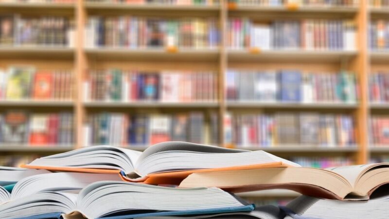 Poznaj mroźne krainy z Iloną Wiśniewską na wyjątkowym spotkaniu autorskim