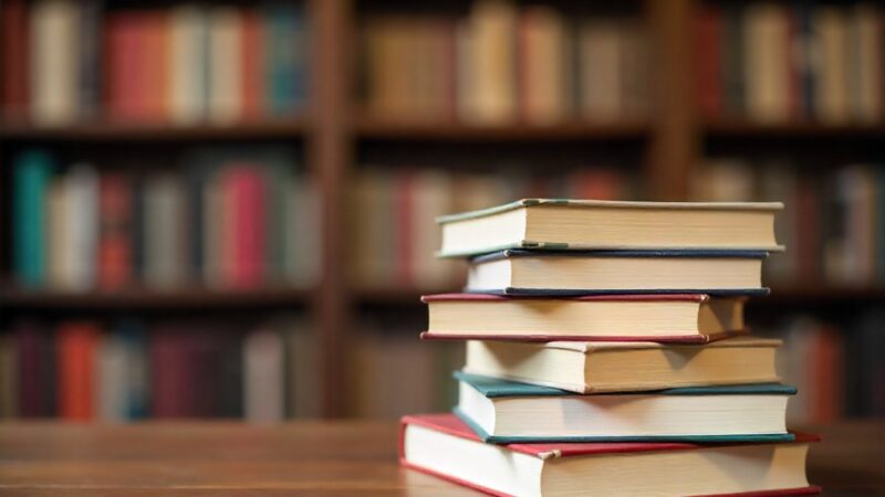 Literacka wyprawa na Grenlandię z Iloną Wiśniewską