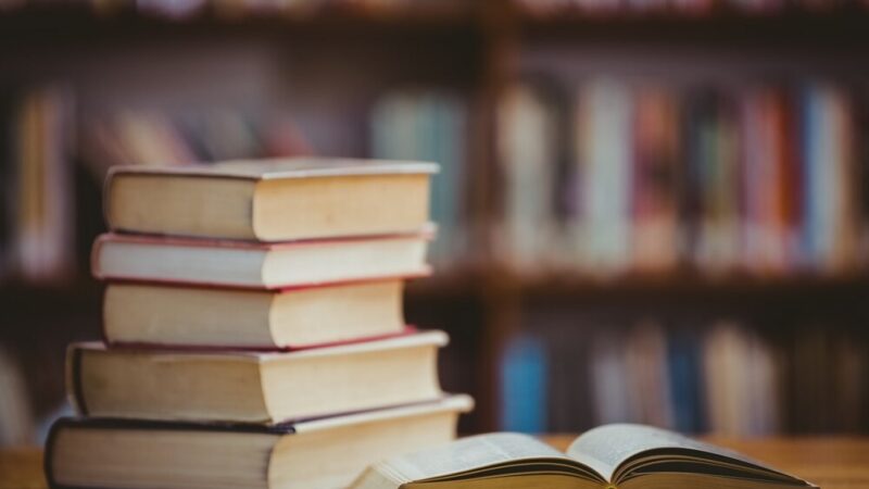 Literacka podróż z Wodzisławia Śląskiego: Odkryj świat z biblioteką!