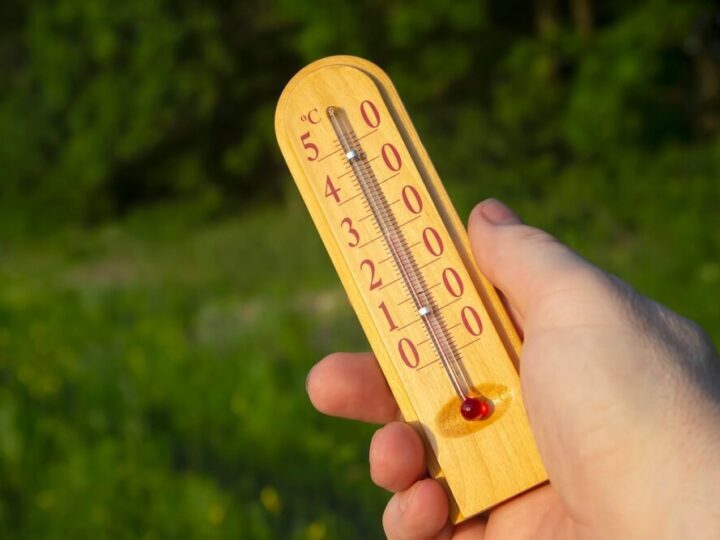 Wodzisław Śląski: Słoneczny spacer w ramach programu W.A.R.T.O.