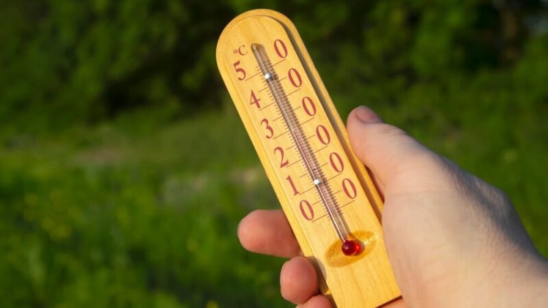 Wodzisław Śląski: Słoneczny spacer w ramach programu W.A.R.T.O.