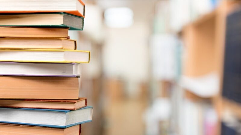 Gogołowa bez biblioteki: co muszą wiedzieć czytelnicy?