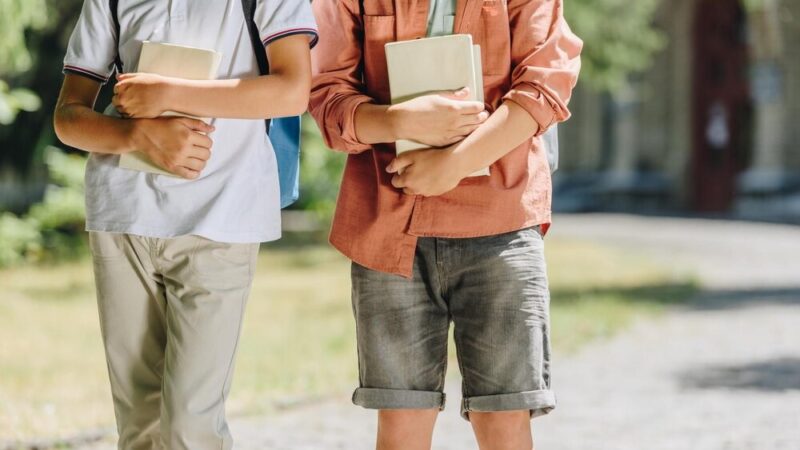 Konkurs na dyrektora Ogniska Pracy Pozaszkolnej w Wodzisławiu Śląskim