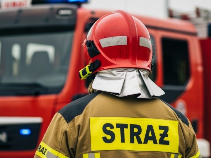 Ogniska wracają do lasów Nadleśnictwa Rybnik!