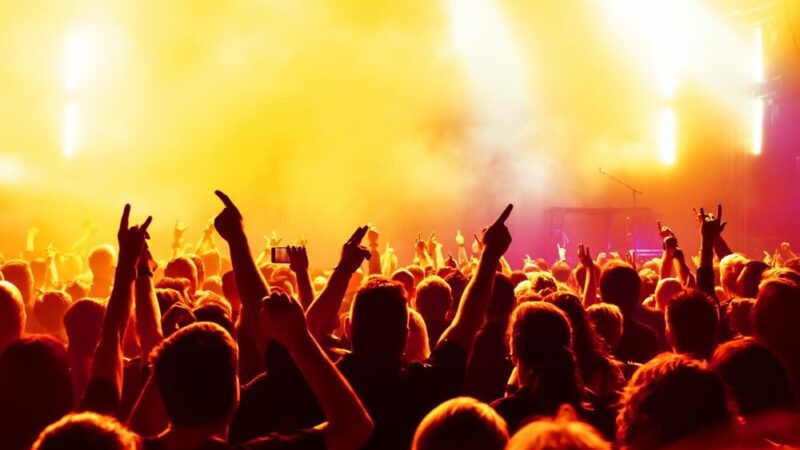 Festiwal Kultury 2026: Wodzisław Śląski świętuje lokalne talenty i tradycje