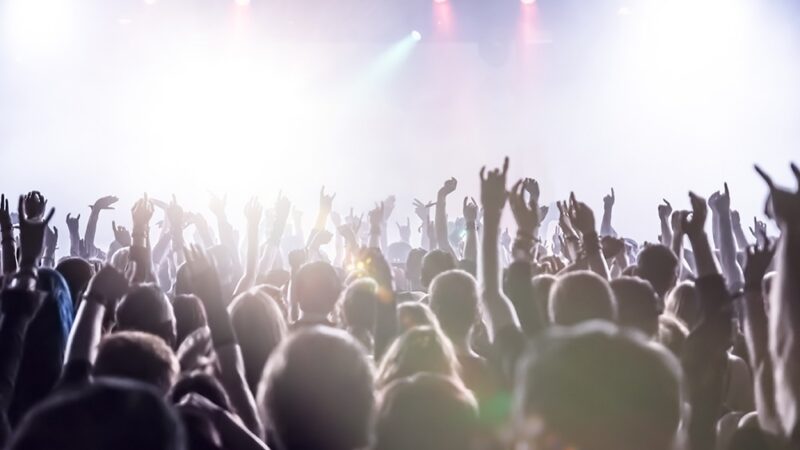 Kolorowe papugi i twórcza zabawa na ARA!Fest w Parku Zamkowym!