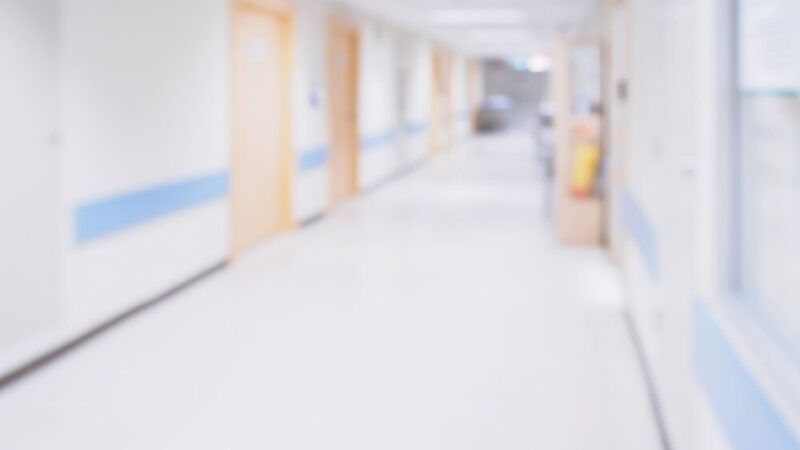 Bezpłatne porady prawne i psychologiczne w Wodzisławiu – sprawdź terminy!